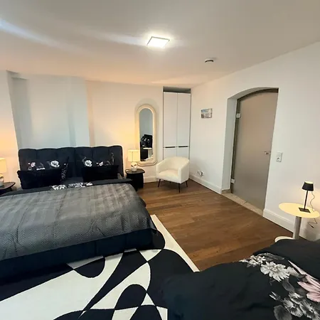 Historica 250qm Mit Garten, Dart, Tischkicker, Parkplatz, Free Wifi Appartement *